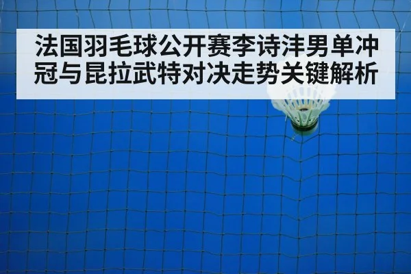 badminton court net